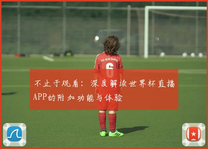不止于观看：深度解读世界杯直播APP的附加功能与体验