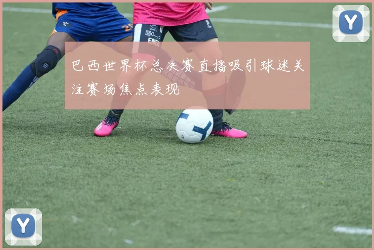 巴西世界杯总决赛直播吸引球迷关注赛场焦点表现